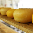 За первые три месяца в Ставропольском крае произвели 1,2 тысячи тонн сыров