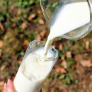 Ставрополье получит ₽153 млн на создание и модернизацию молочных ферм
